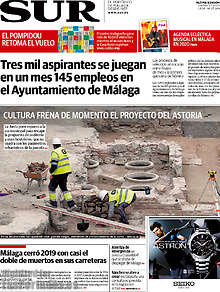 Periodico Sur