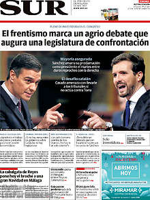 Periodico Sur