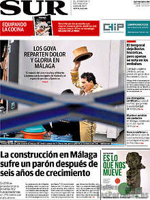 Periodico Sur