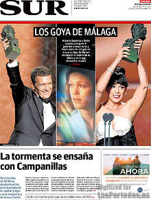 Periodico Sur