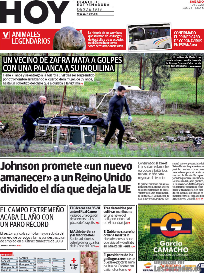 Hoy