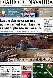 Periodico Diario de Navarra
