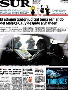 Periodico Sur