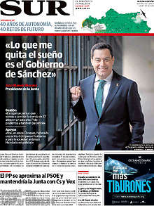 Periodico Sur