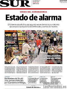 Periodico Sur