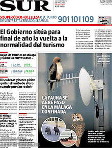 Periodico Sur