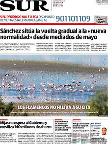 Periodico Sur