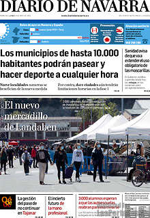Periodico Diario de Navarra