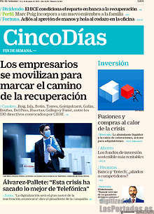 Periodico Cinco Días