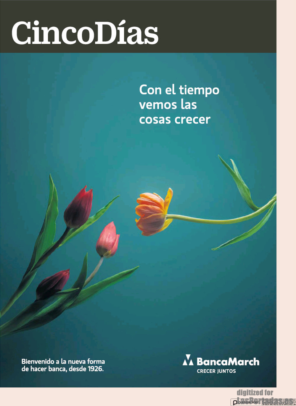 Cinco Días