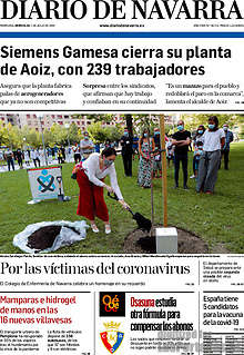 Periodico Diario de Navarra