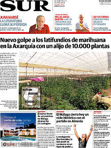 Periodico Sur