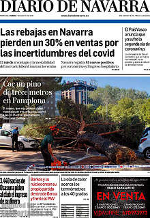 Periodico Diario de Navarra