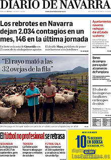 Periodico Diario de Navarra