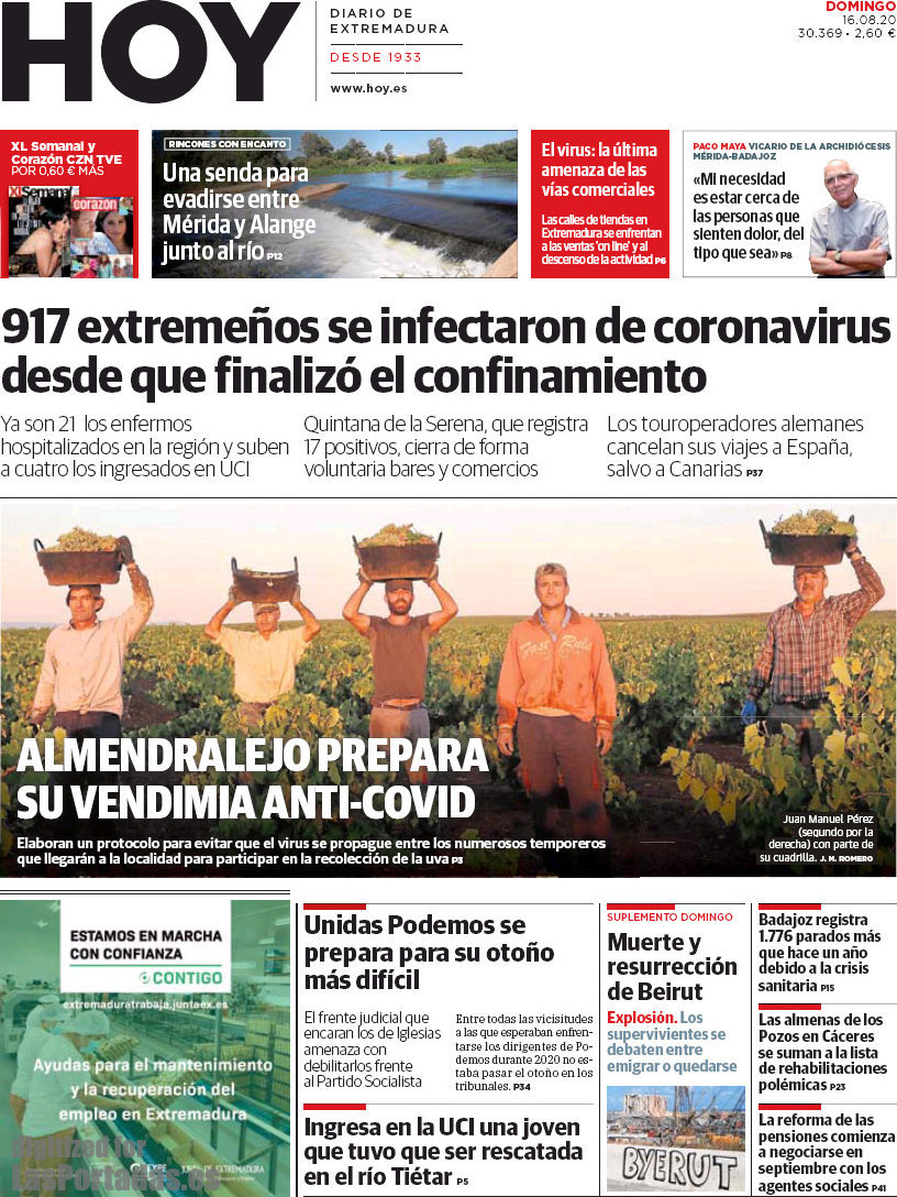 Hoy