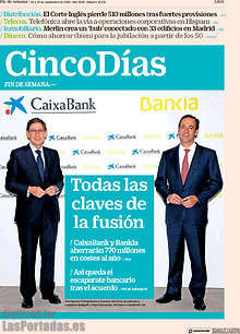 Periodico Cinco Días