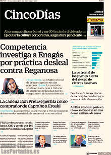 Periodico Cinco Días