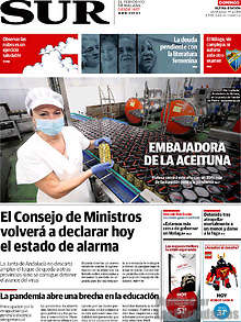 Periodico Sur