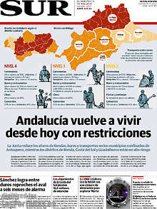 Periodico Sur