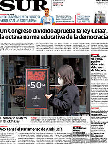 Periodico Sur