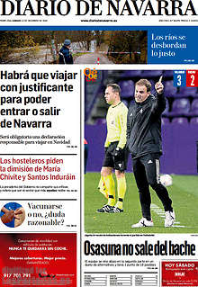 Periodico Diario de Navarra