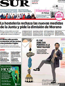 Periodico Sur