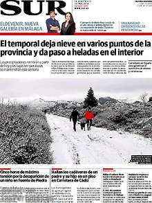 Periodico Sur