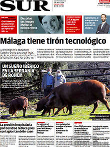 Periodico Sur