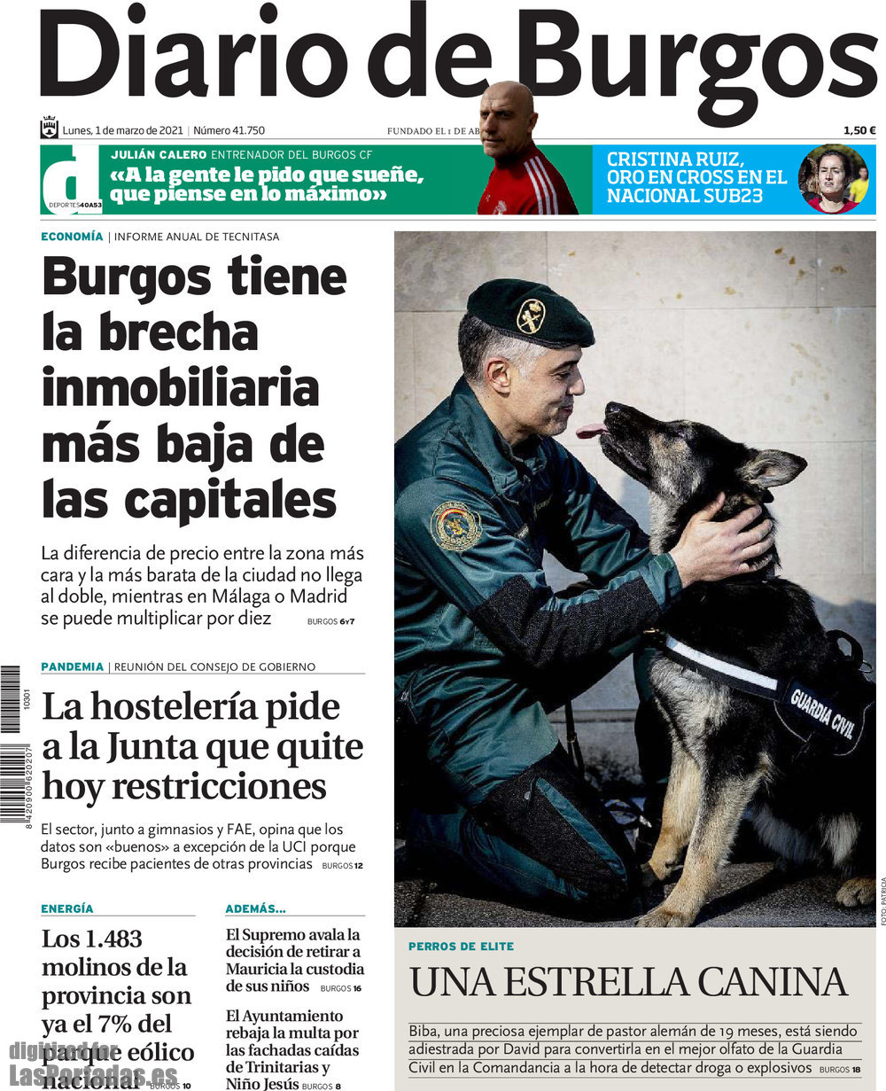 Diario de Burgos