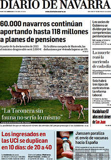 Periodico Diario de Navarra