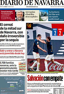 Periodico Diario de Navarra