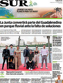 Periodico Sur