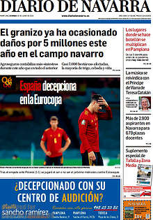 Periodico Diario de Navarra