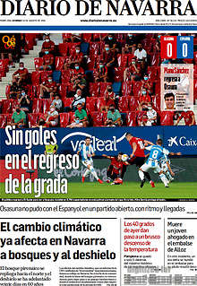 Periodico Diario de Navarra