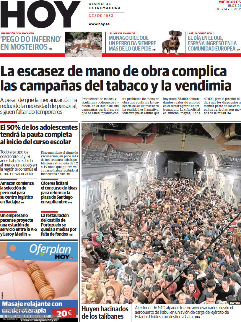 Hoy
