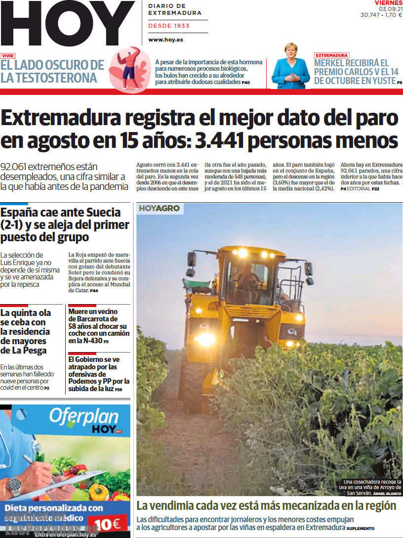 Hoy