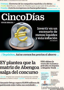 Periodico Cinco Días