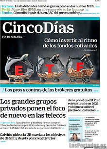 Periodico Cinco Días