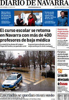 Periodico Diario de Navarra