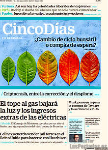 Periodico Cinco Días