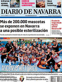 Periodico Diario de Navarra