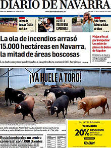 Periodico Diario de Navarra