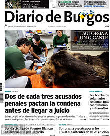 Periodico Diario de Burgos