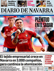 Periodico Diario de Navarra