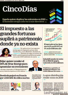 Periodico Cinco Días