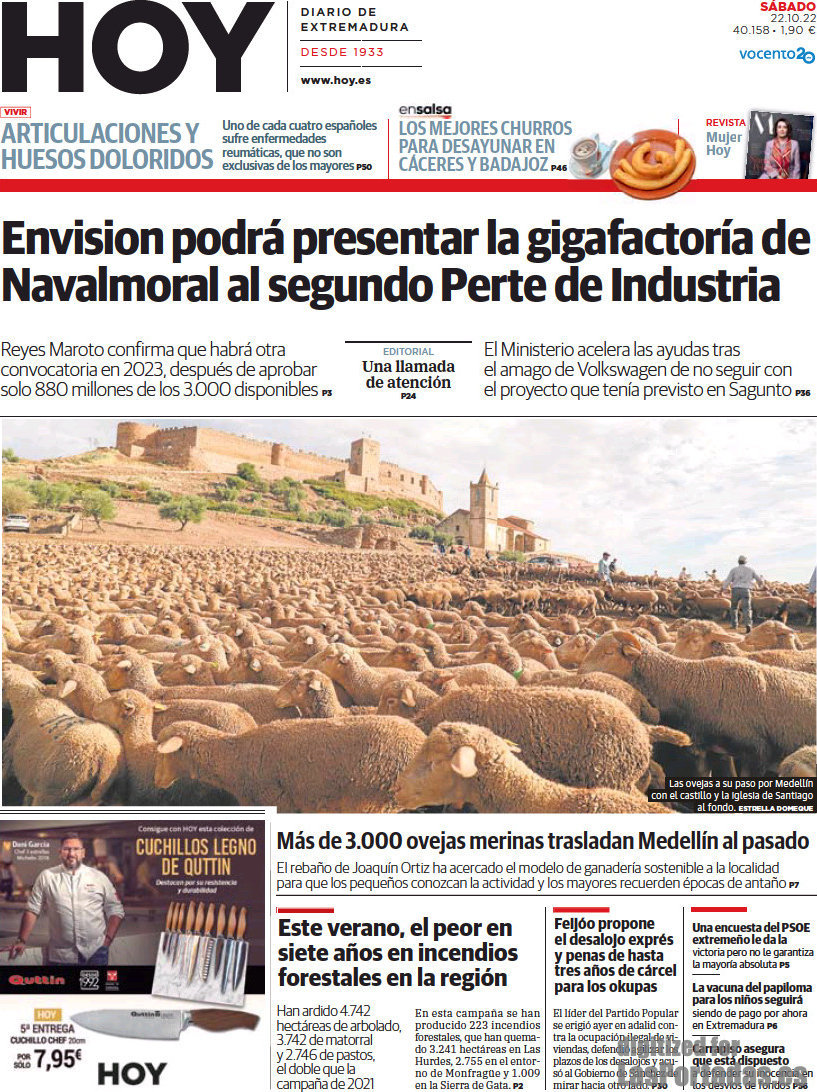 Hoy