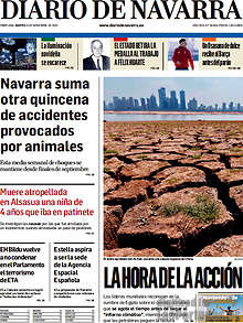 Periodico Diario de Navarra