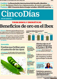 Periodico Cinco Días