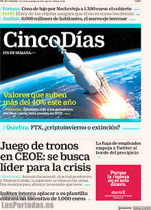 Periodico Cinco Días