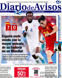 Periodico Diario de Avisos